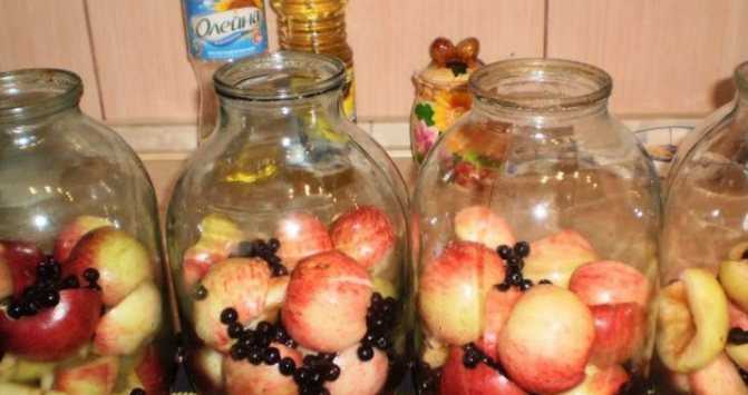 ᐉ компот из черноплодной рябины на зиму, компот из красной рябины на зиму, рецепты со сливой, яблоками, видео - my-na-dache.ru