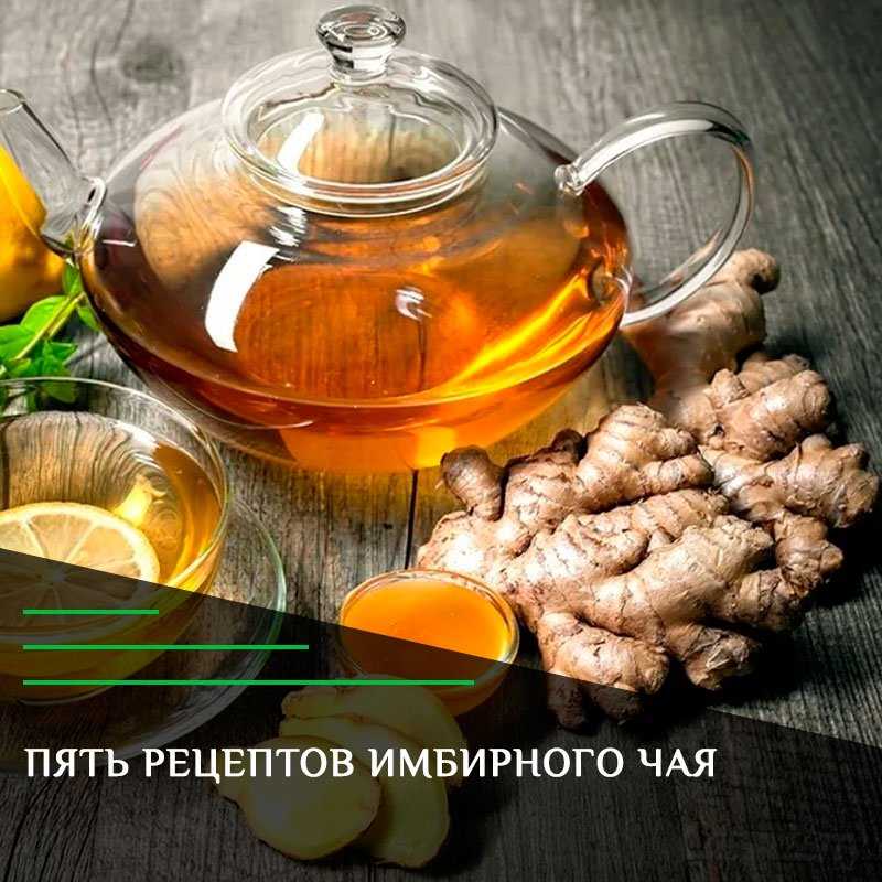 Чай ромашка с имбирем 10+ полезных рецептов