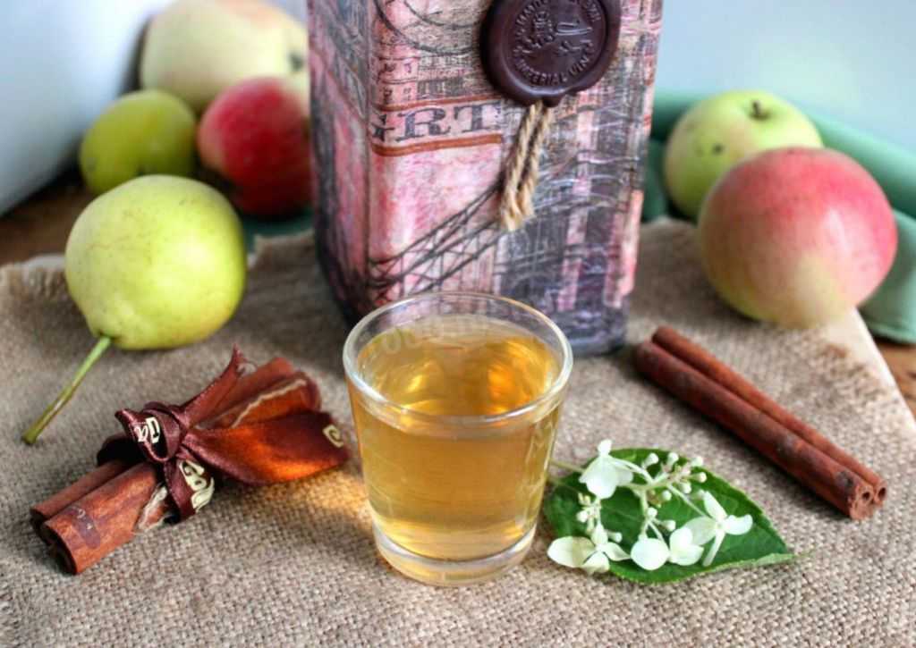 Как сделать домашнее вино из яблочного сока? рецепты изготовления и особенности напитка
