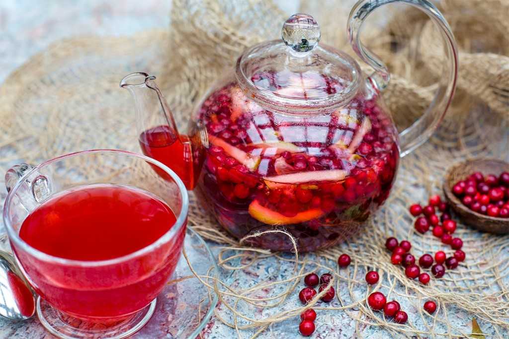 Чай с клюквой: рецепты с имбирем, облепихой, медом
