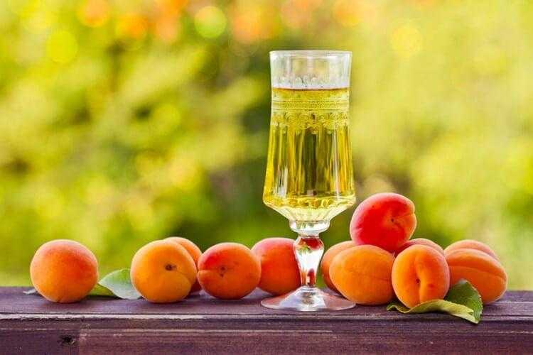 Абрикосовое вино – лучшее плодовое вино – сайт о винограде и вине