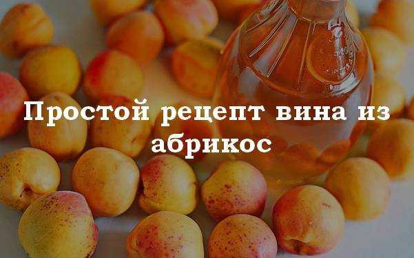 Как приготовить абрикосовое вино в домашних условиях