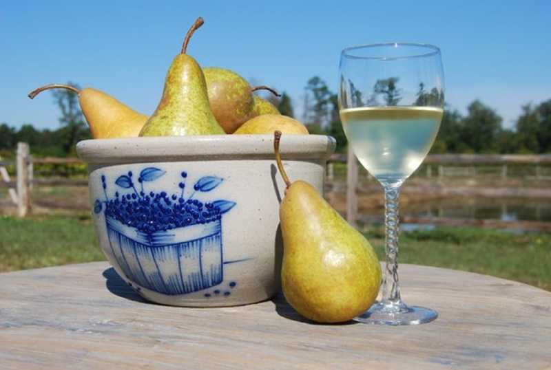 Как сделать вино из груш в домашних условиях: рецепты и ингредиенты для изготовления грушевого вина