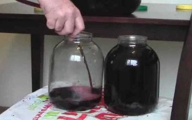 Домашнее вино из черноплодной рябины в домашних условиях: простые рецепты с фото и видео
