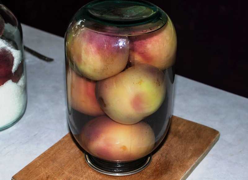 Компот из персиков на зиму: топ 10 простых рецептов на 1-3 литровую банку с фото