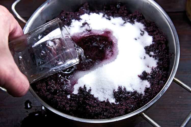 Вино из черноплодной рябины: советы виноделов, простые рецепты приготовления в домашних условиях