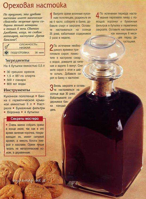 Настойка на кедровых орешках на спирту рецепты приготовления и лечебные свойства