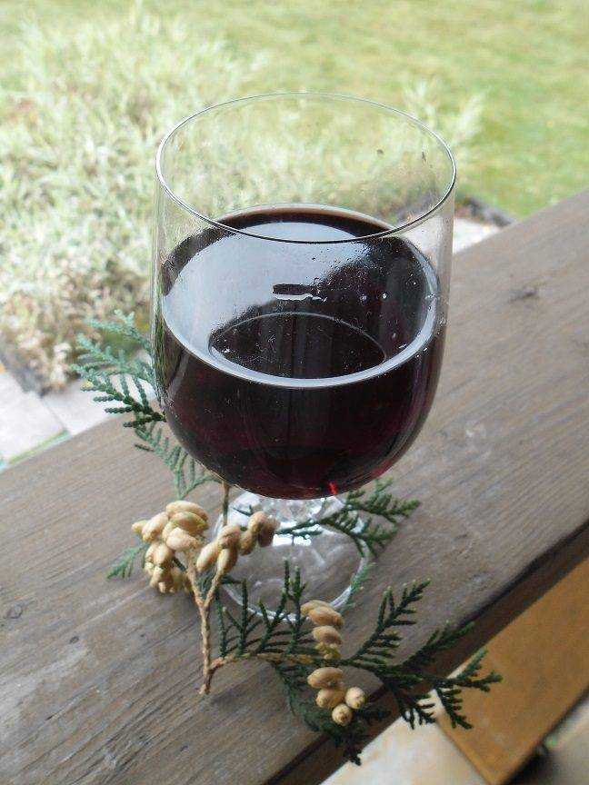 Готовим вино из ирги в домашних условиях