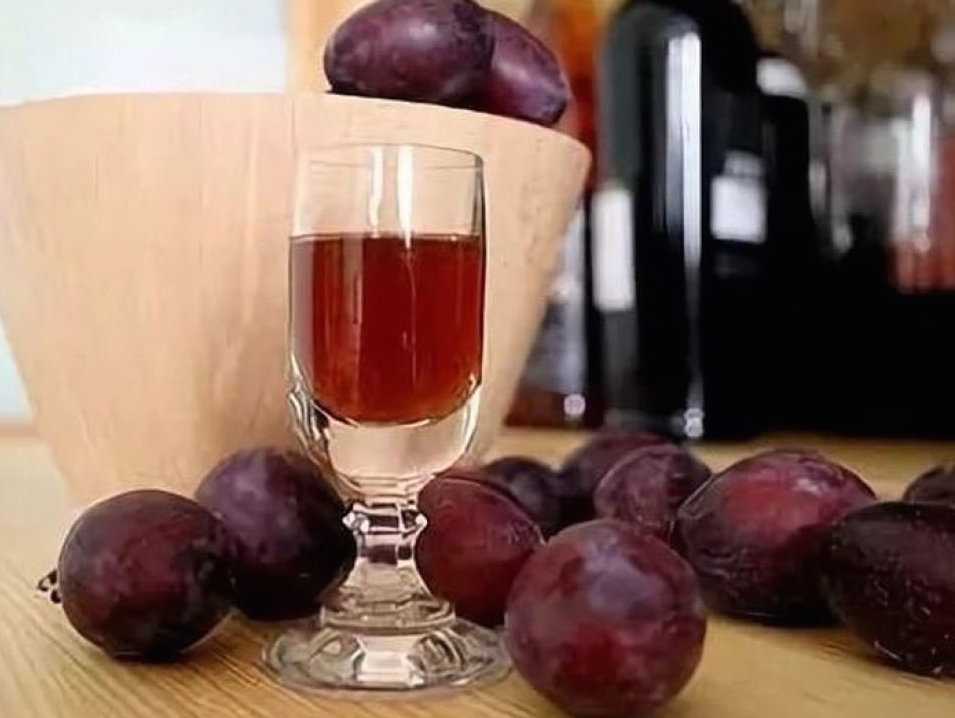 Сливовое вино: простой рецепт в домашних условиях, как делать вино из слив своими руками