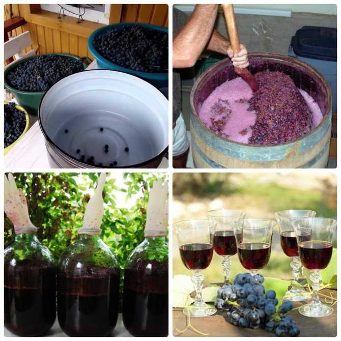Подробное описание шагов приготовления напитка Виноградное вино -  пошаговые фото, состав, советы, комментарии, похожие рецепты, порядок приготовления