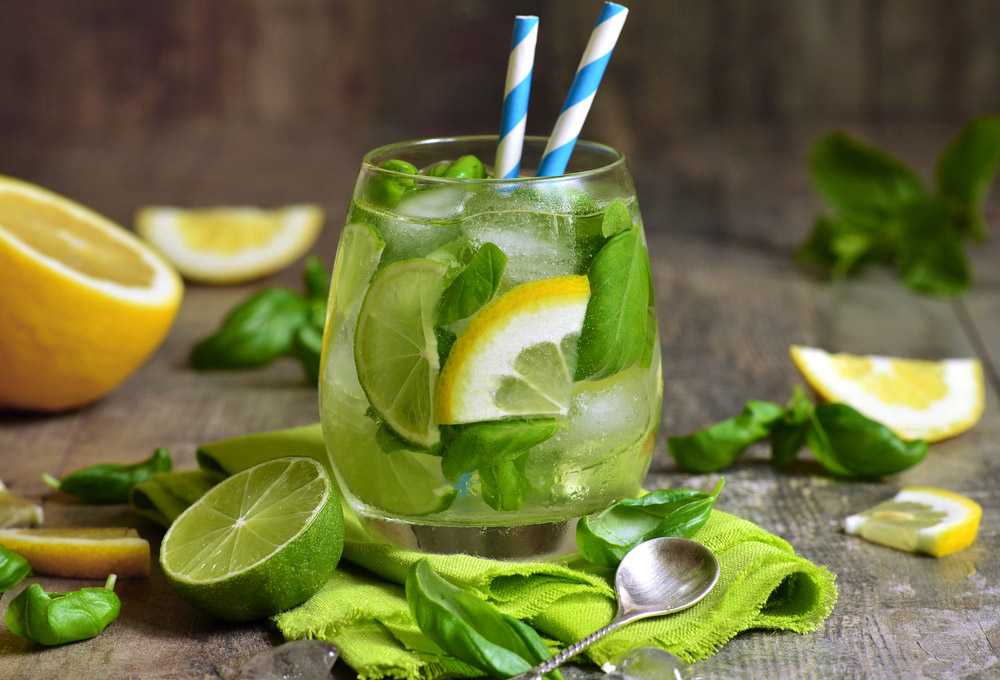 Что пить летом? домашние рецепты: лимонад и имбирный эль. как приготовить в домашних условиях лимонад