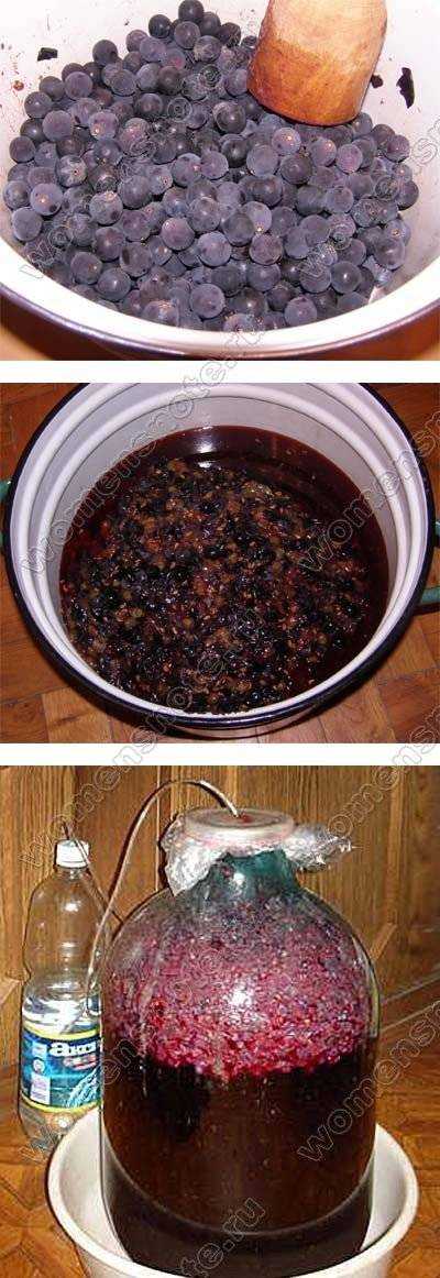 Виноградное вино в домашних условиях: простой рецепт с фото пошагово