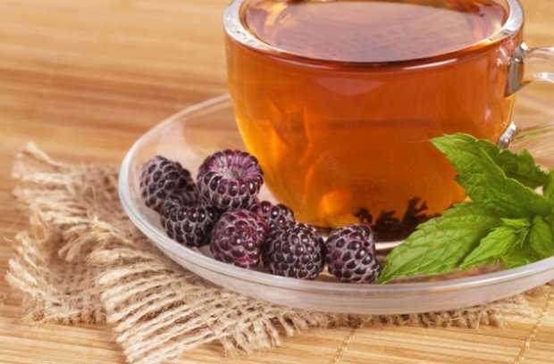 Чай из листьев ежевики – как приготовить, польза и вред, заготовка