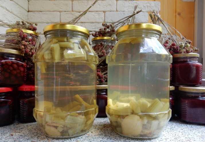 Как приготовить компот из ревеня на зиму по пошаговому рецепту с фото