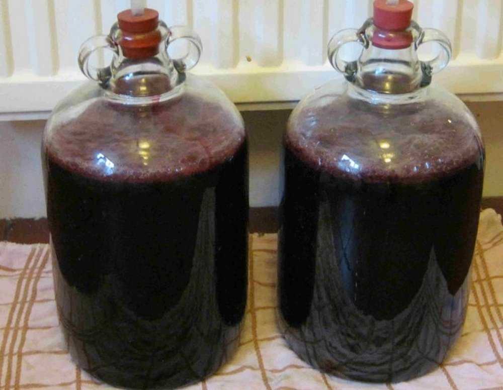 Виноградное вино в домашних условиях: простой рецепт с фото пошагово (видео)