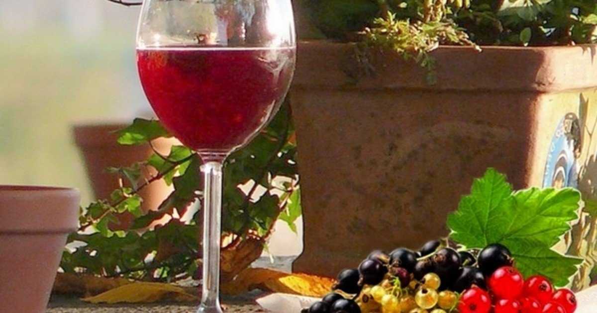Готовим красное вино в домашних условиях