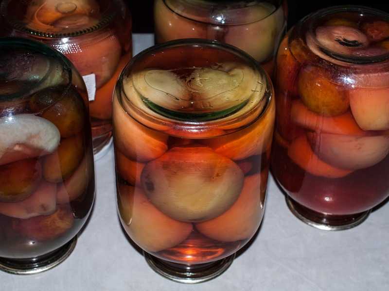 Компот из абрикосов на зиму: простые рецепты без стерилизации