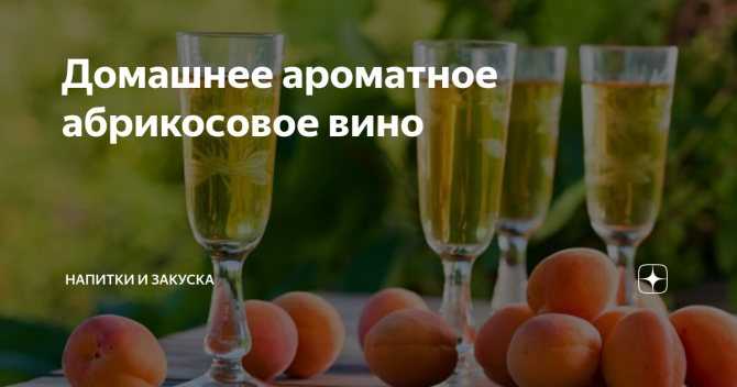 Как сделать вино из абрикосов