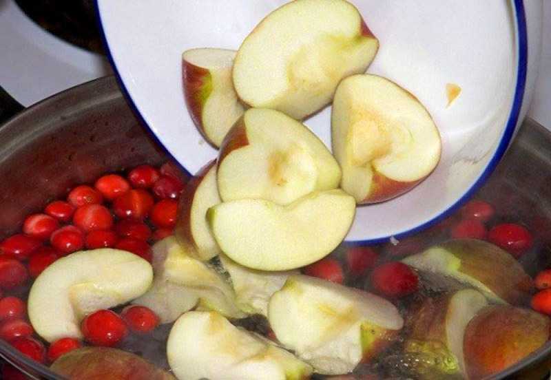 Рецепт компот из свежих яблок. калорийность, химический состав и пищевая ценность.