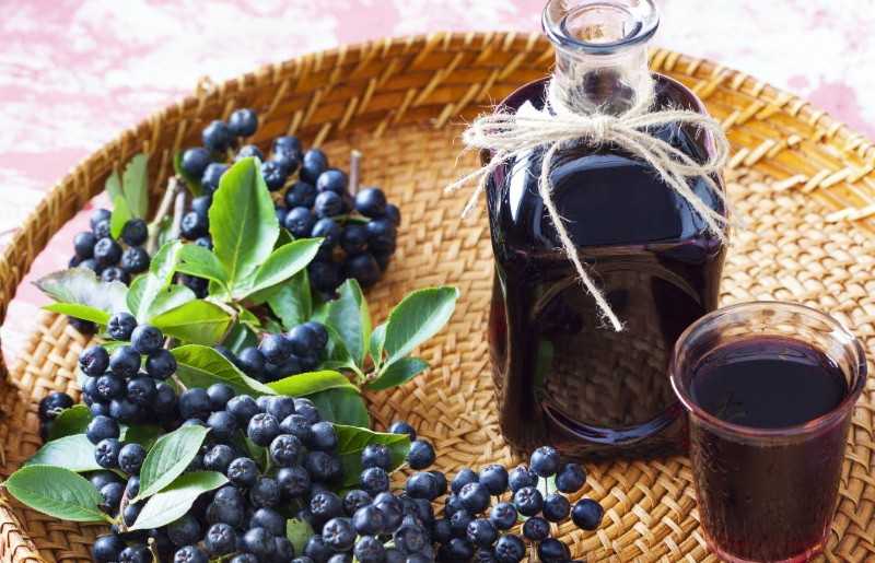 Популярные рецепты настоек самогона на черной рябине рецепты черноплодки