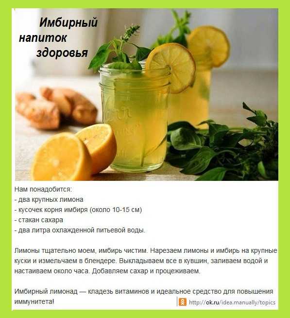 Имбирный лимонад - 92 рецепта: лимонад | foodini