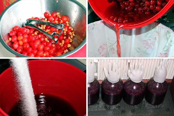 Как сделать вино из вишни — по проверенному рецепту с косточками и без