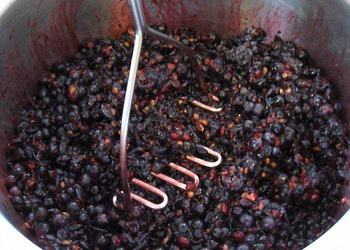 Брага из винограда для самогона: рецепт, пропорции, приготовление