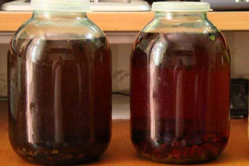 Настойка из винограда: 3 рецепта в домашних условиях