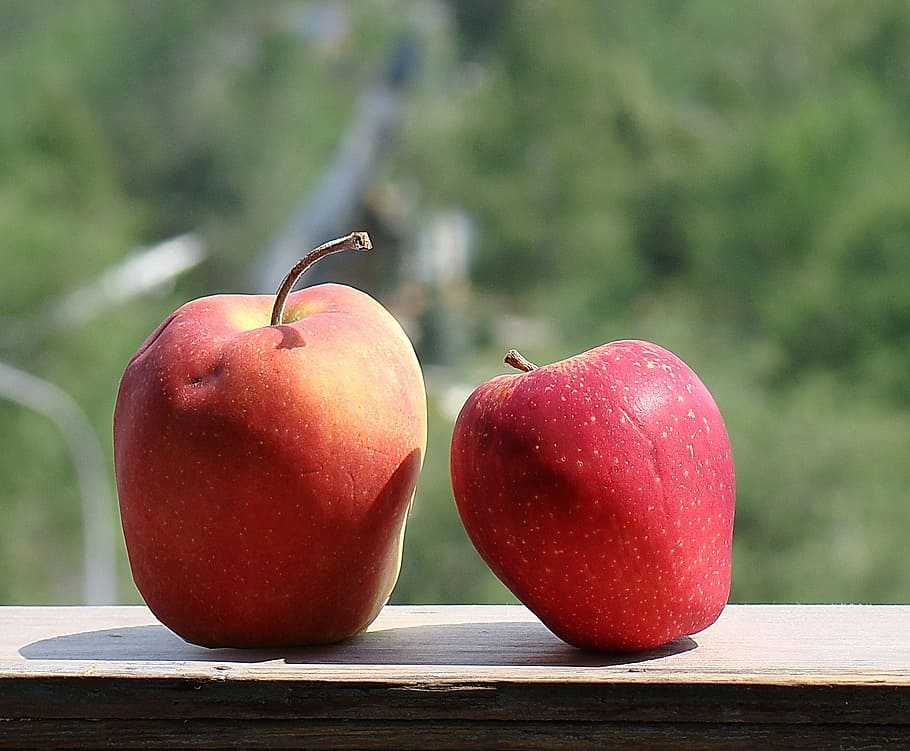 Рецепты выпечки с яблоками с фото.