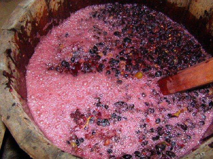 Брага из винограда для самогона без дрожжей: рецепт из отжимок и жмыха