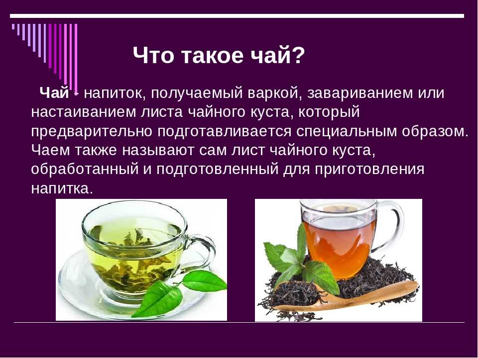 Чай с шалфеем: лечебные свойства и противопоказания